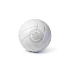 Exercise ball